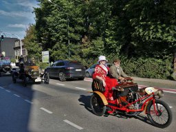 2019-Parel der Voorkempen-Bruno from Belgium